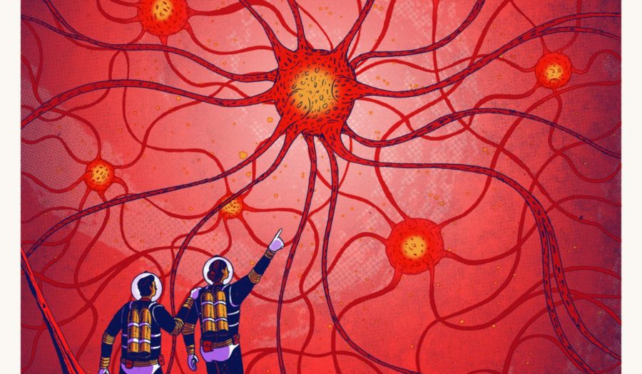 Illustratie van twee wetenschappers die naar neuronen wijzen